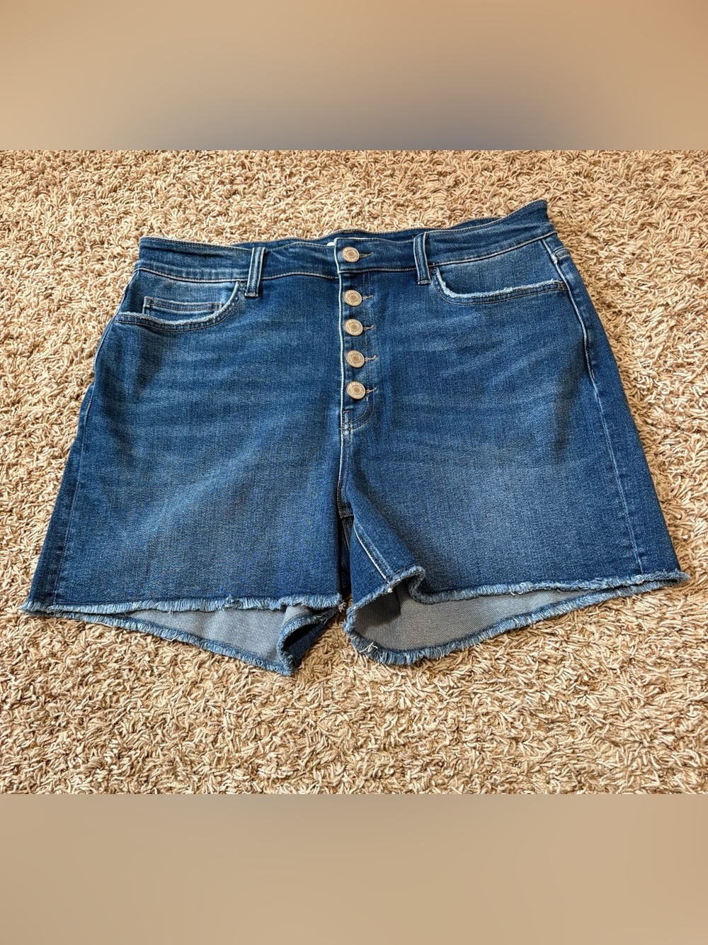 Vervet Buttonfly Jean Shorts Womens size 18